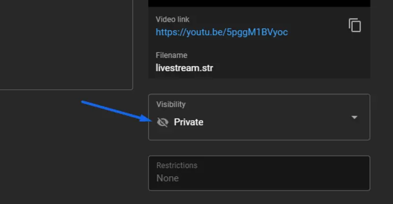 Streaming Privately on Discord or YouTube Unlisted